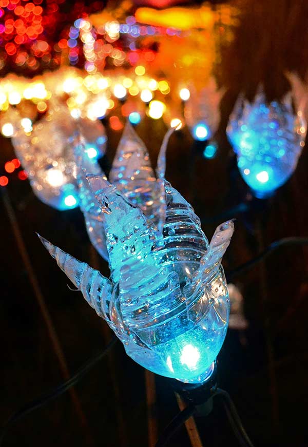 Transparent flowers with colorful lights