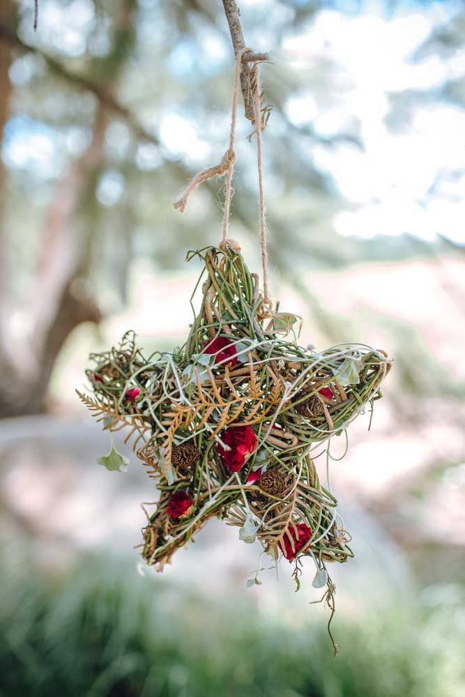 A star inspired by bird's nests