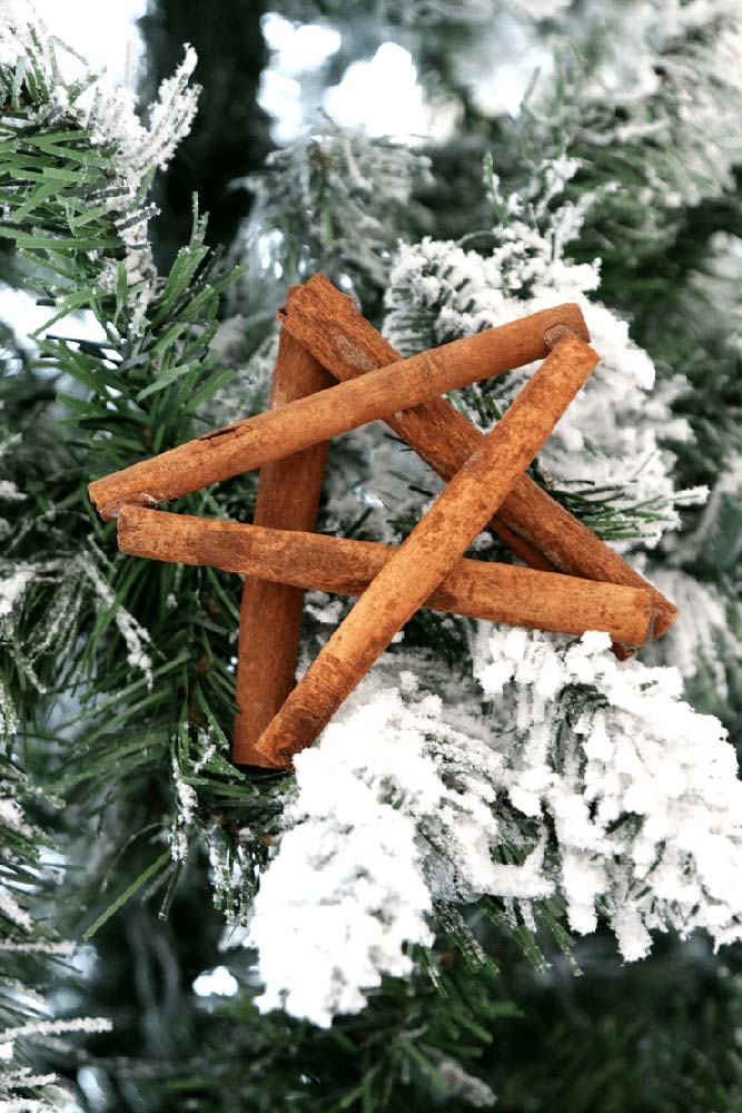 A rustic and aromatic star made with cinnamon sticks