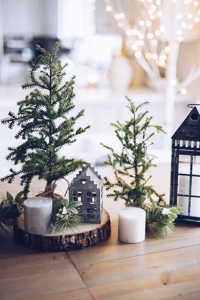 A mini garden to decorate the Christmas table