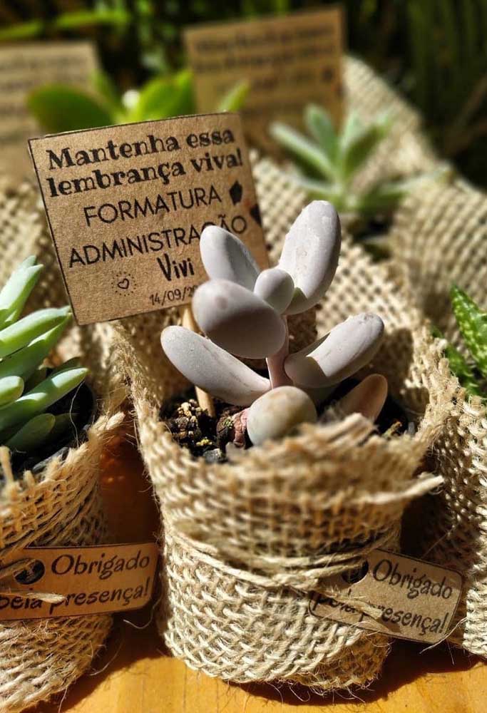 How about betting on succulent mini pots as a graduation souvenir? Everyone will want it!