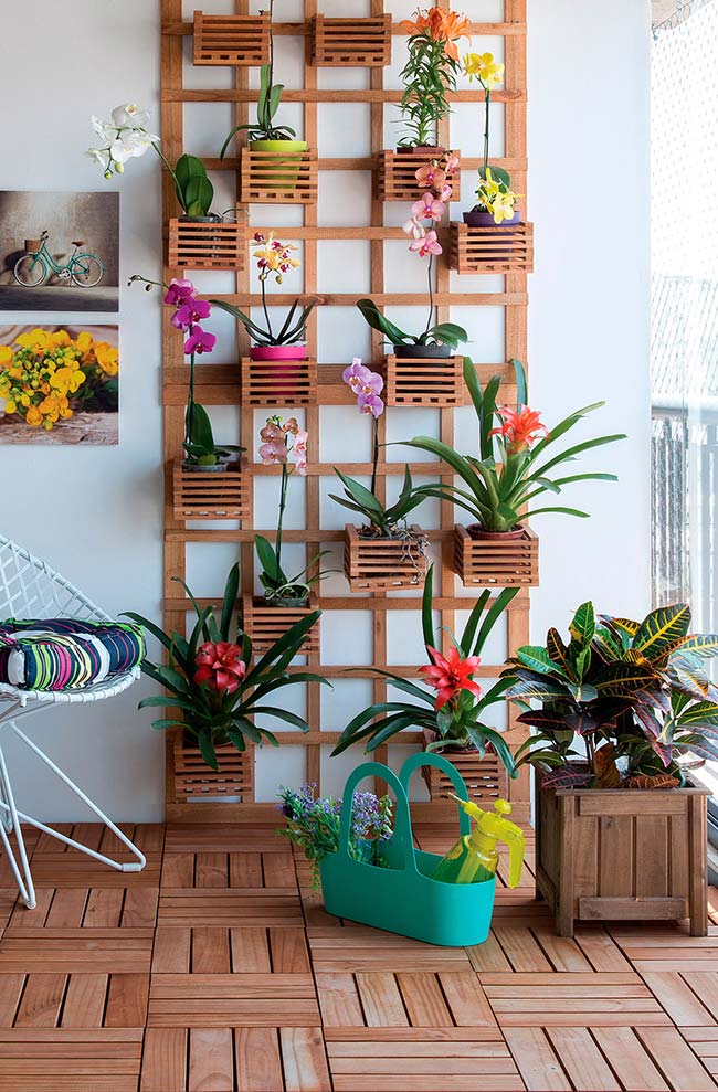 Vertical garden with bromeliads and orchids