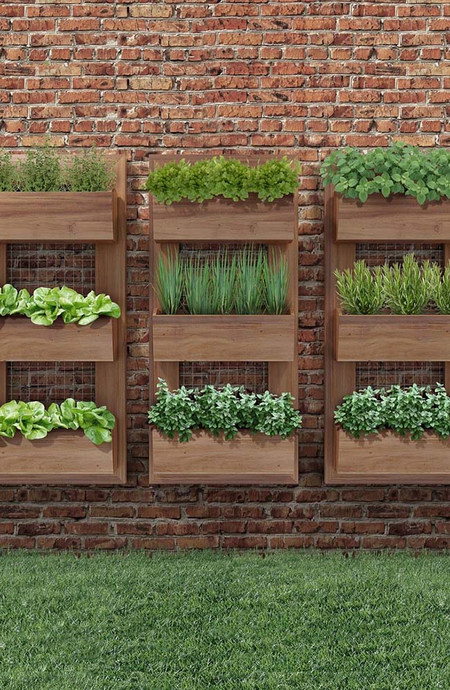 Herbs, vegetables and spices are great options for growing in residential vertical gardens