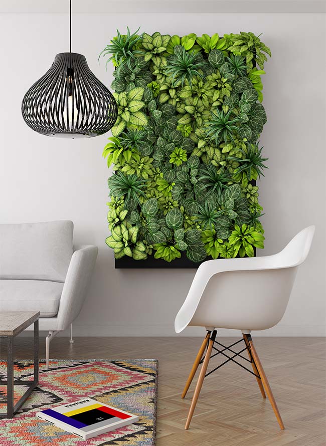 Vertical garden green frame