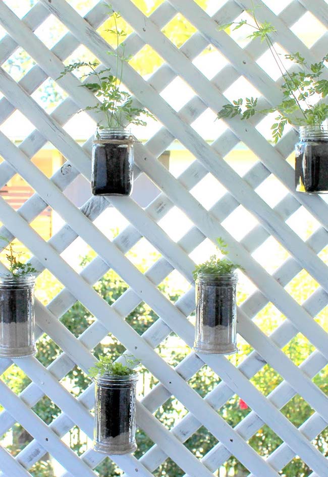 Wooden panel supports the glass pots that serve as pots for the foliage seedlings