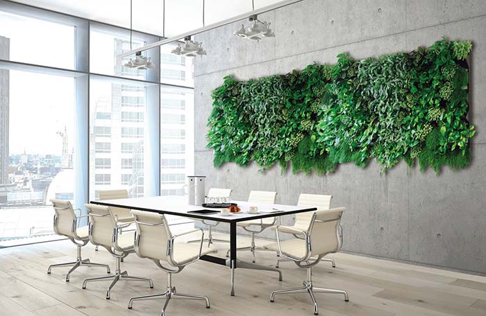 The vertical garden over the exposed concrete wall makes work meetings “lighter”