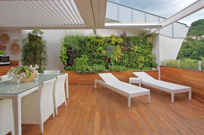 Glass ceiling guarantees the luminosity that vertical garden plants need to grow