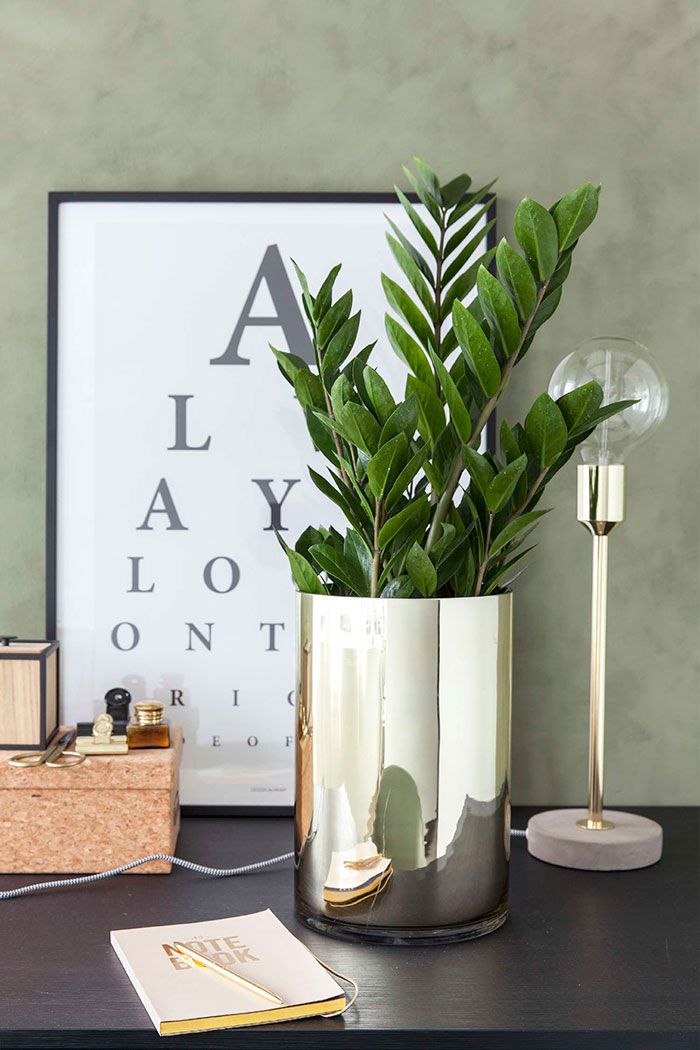 Metal vases with zamioculcas