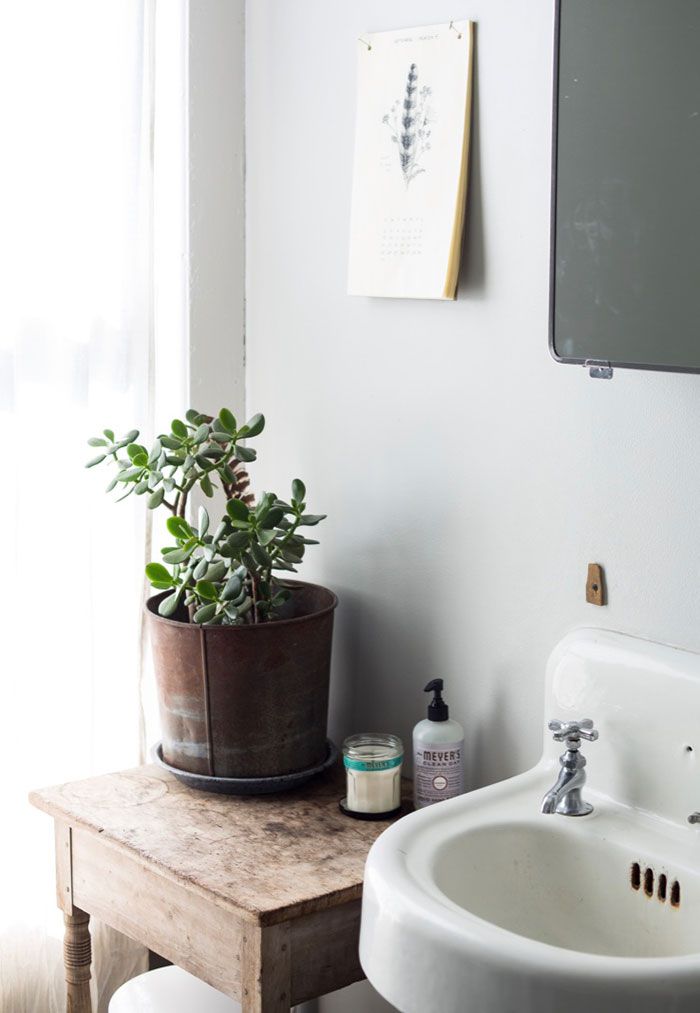 Rustic and retro style bathroom decorated with zamioculca vase