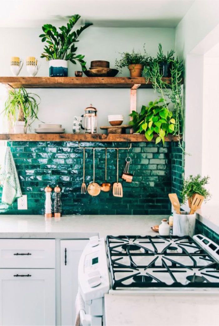 Green kitchen with different plants