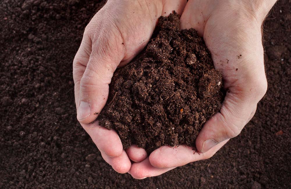 Soil with earth