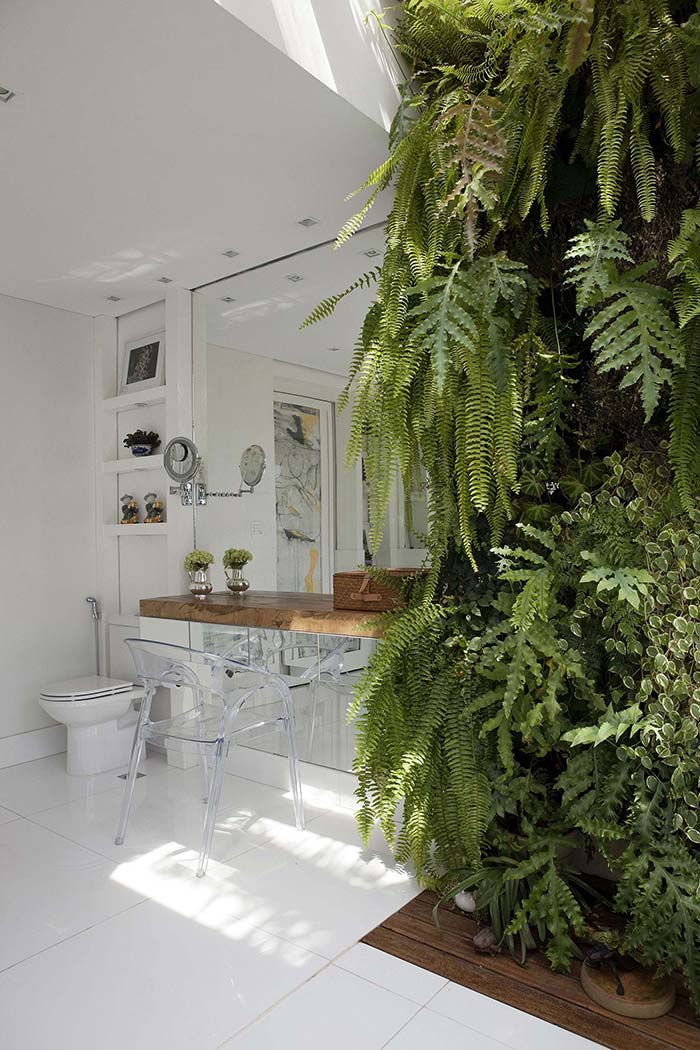 Banheiro com jardim vertical de samambaias