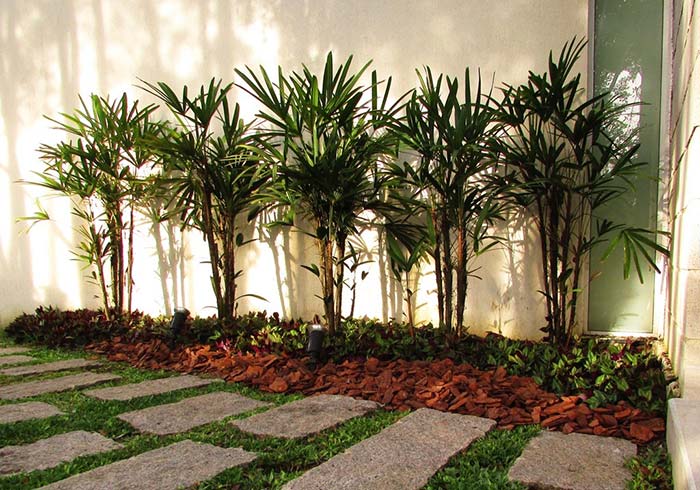 Raffia palm flower bed