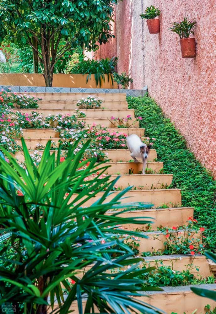 Peanut grass can highlight and enhance areas previously neglected in the garden, such as the side of the stairs 