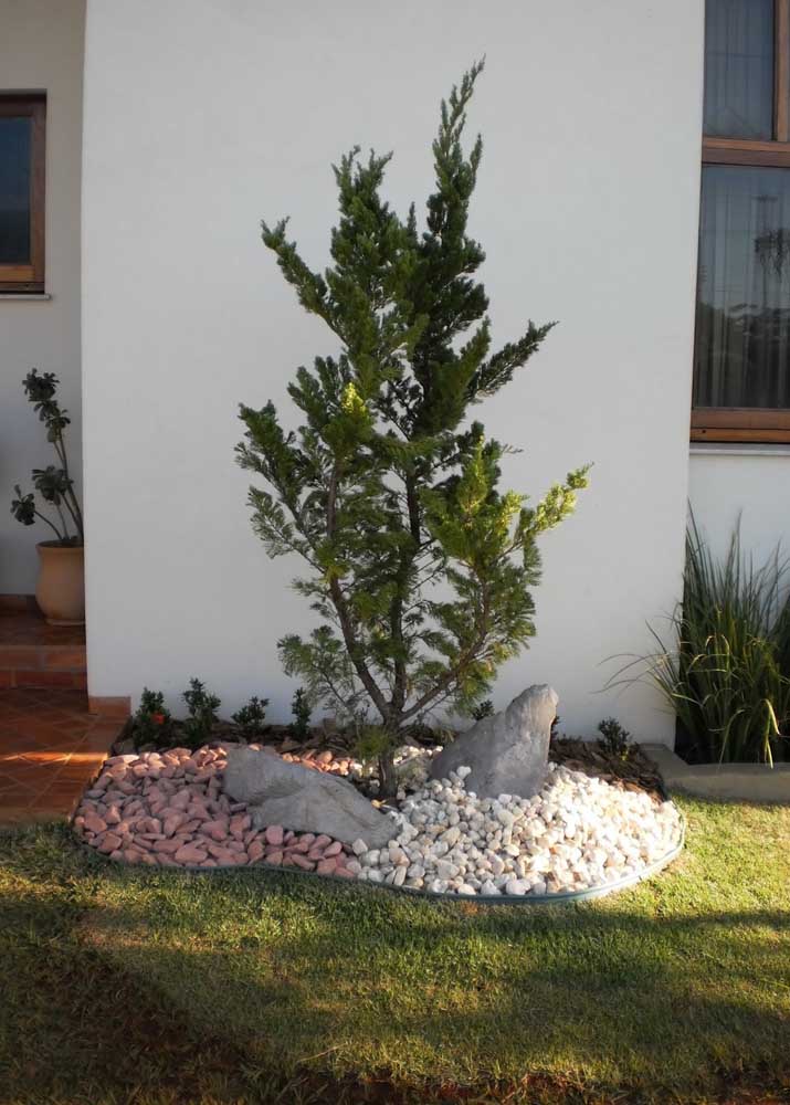 Simple garden finished with potato grass; to contain the progress of the grass over the pine a limiter was used