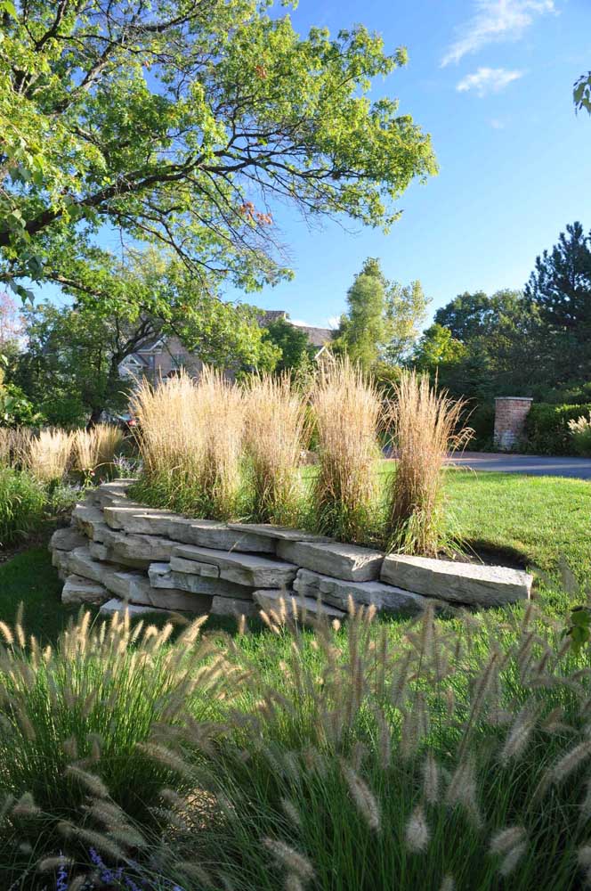 Grass, grass and stones