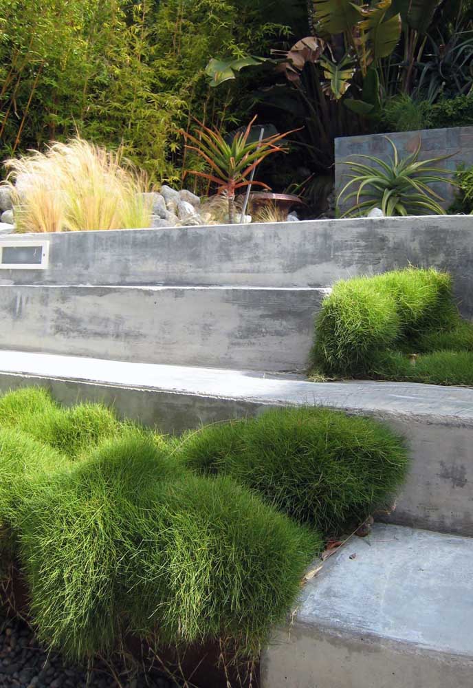 Exposed concrete on the stairs and Korean grass in the flower beds, did you like the combination?