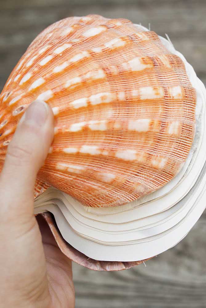 Artesanato com conchas do mar grandes. Você pode fazer o que quiser!