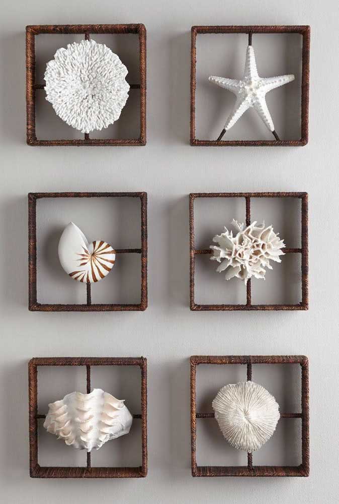 Quadros feitos com diferentes tipos de conchas, além de estrelas do mar