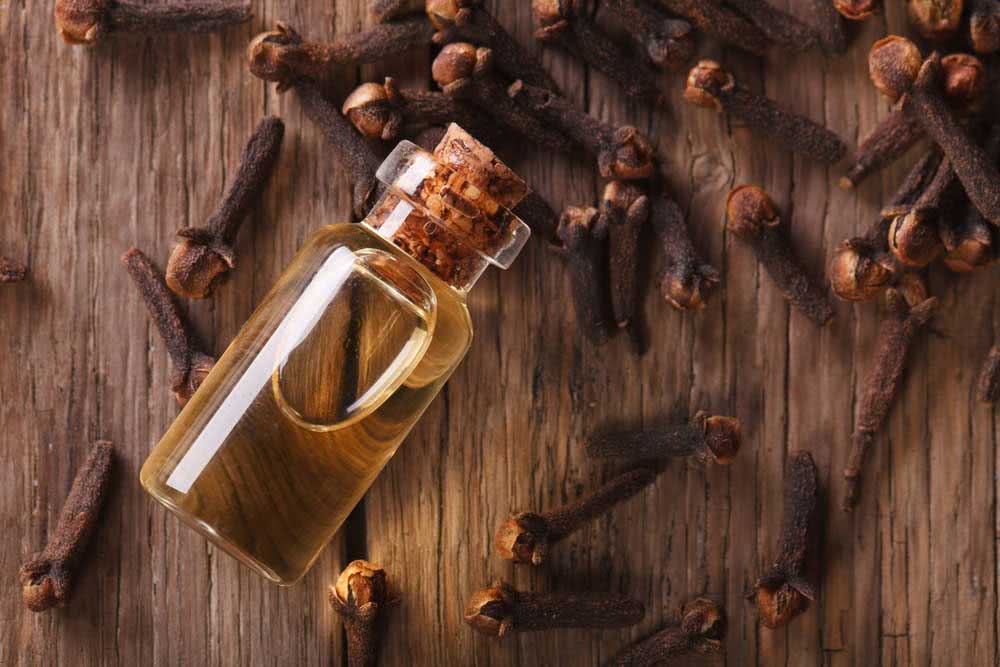 How to use cloves or cinnamon to make an ant killer