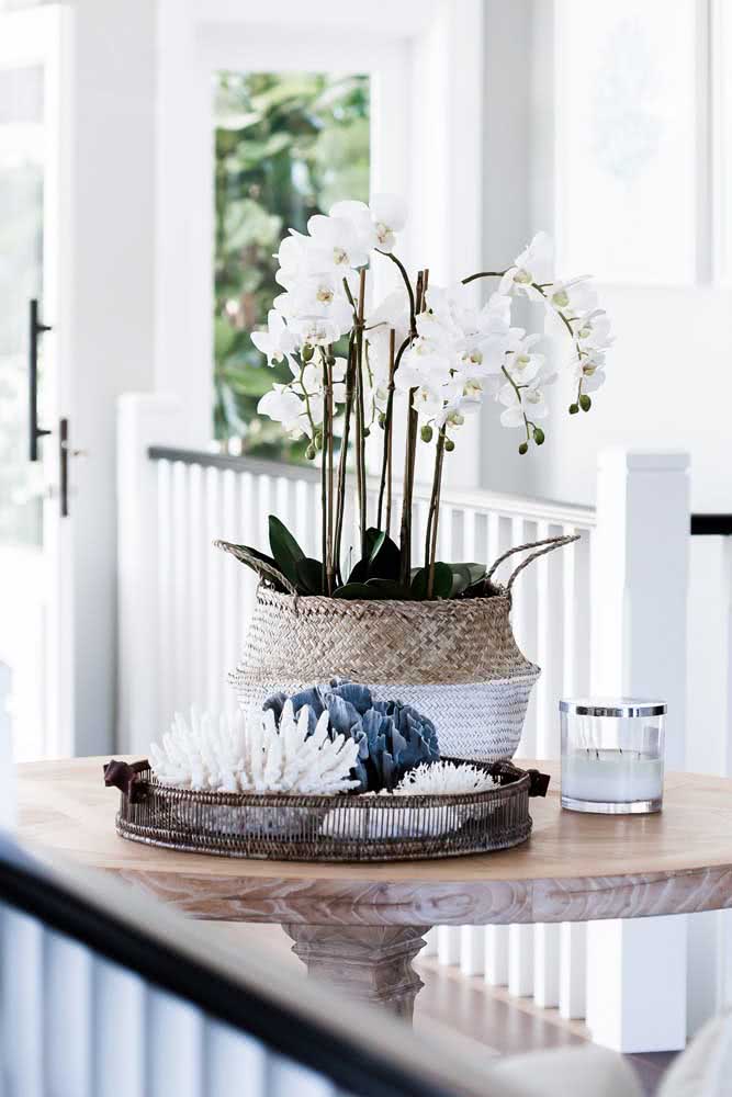 An exuberant vase of white orchids of the genus Phalaenopsis