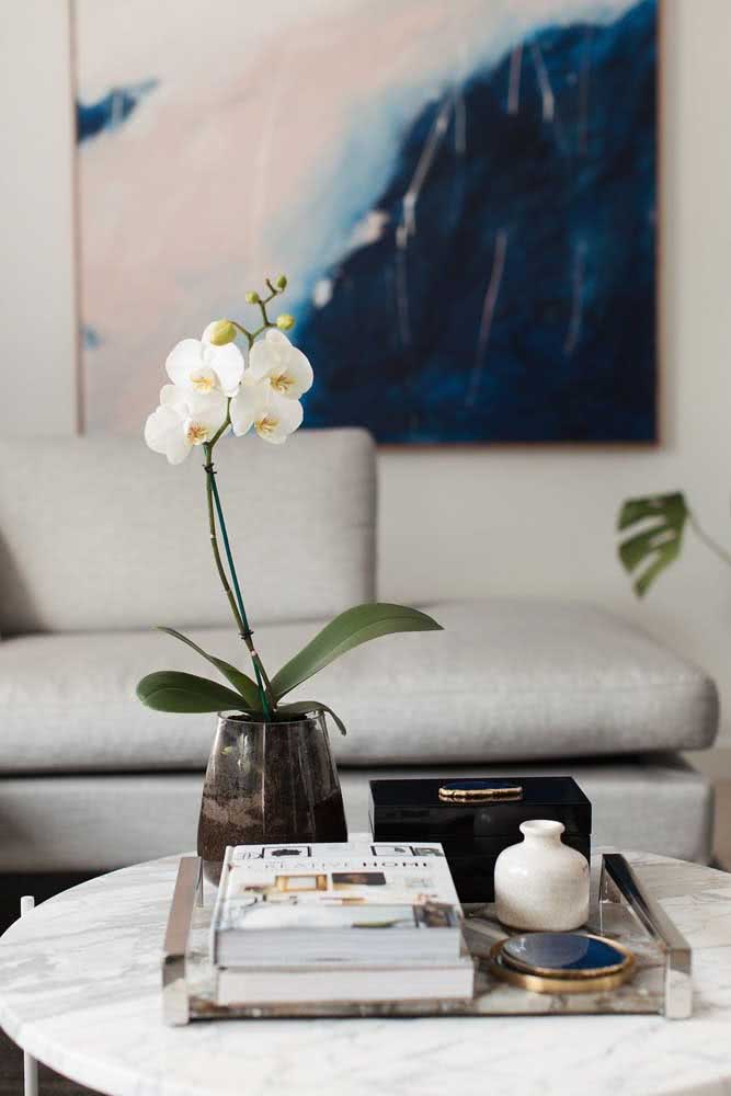 Here, the white orchid Phalaenopsis rests on the coffee table