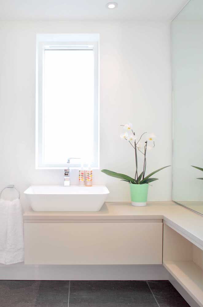 A bathroom with the lighting that the white orchid needs