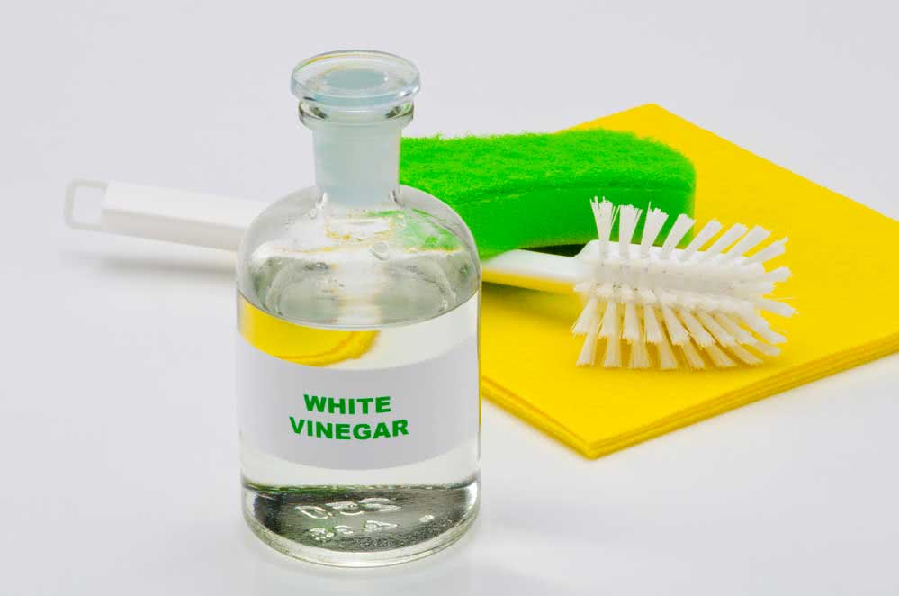 Second tip: clear vinegar