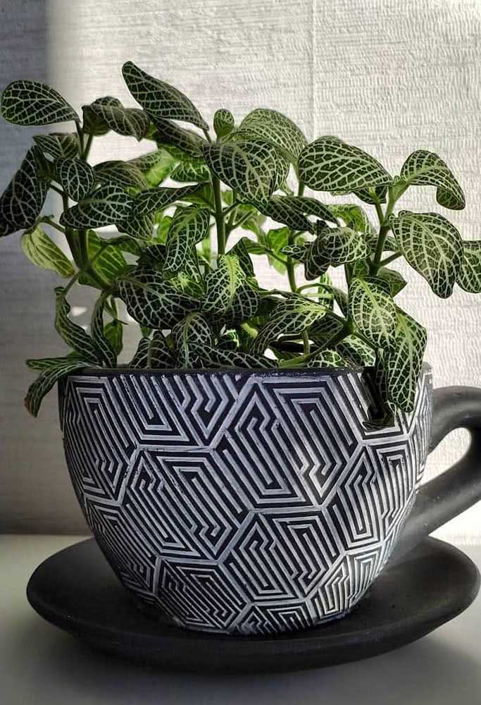 Here, the texture of the leaves of the fitônia blends with the design of the cup 