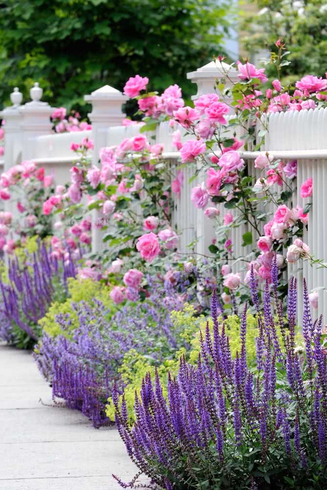 Roses and lavender: who resists this combination?