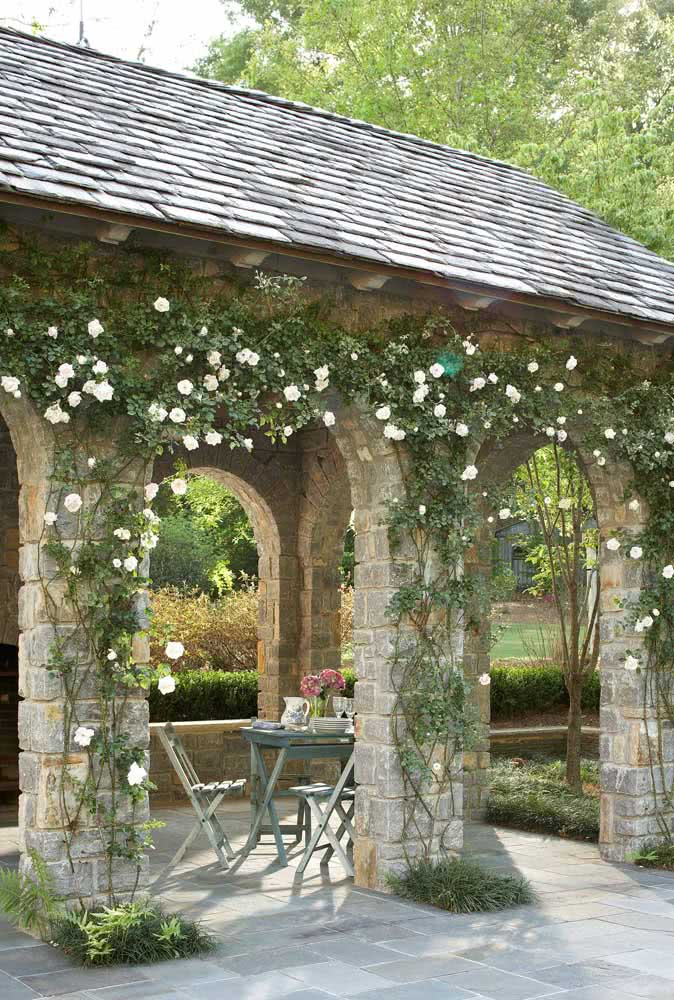 Rustic environments are the face of the climbing rose